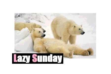 Lazy Sunday